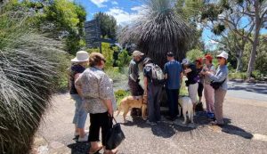 Group gathered around a native tree being told about it by a guie