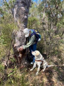 Lindy showing Comet a tree during a bush walk on the Central Coast conference trip