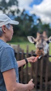 Lindy holding out her hand with a carrot feeding a giraffe.